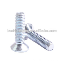 Plum cylinder head anti-theft screws